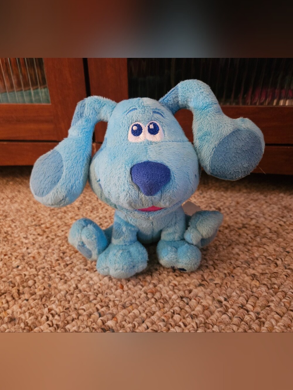 2020 Viacom Nickelodeon Blue's Clues